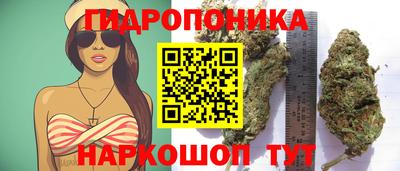 хмурый Нарткала