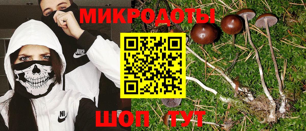 продажа наркотиков  Галлюциногенные грибы MAGIC MUSHROOMS  Вход с VPN  Галлюциногенные грибы ЛСД  Партизанск 