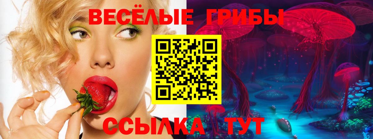 Псилоцибиновые грибы GOLDEN TEACHER Партизанск